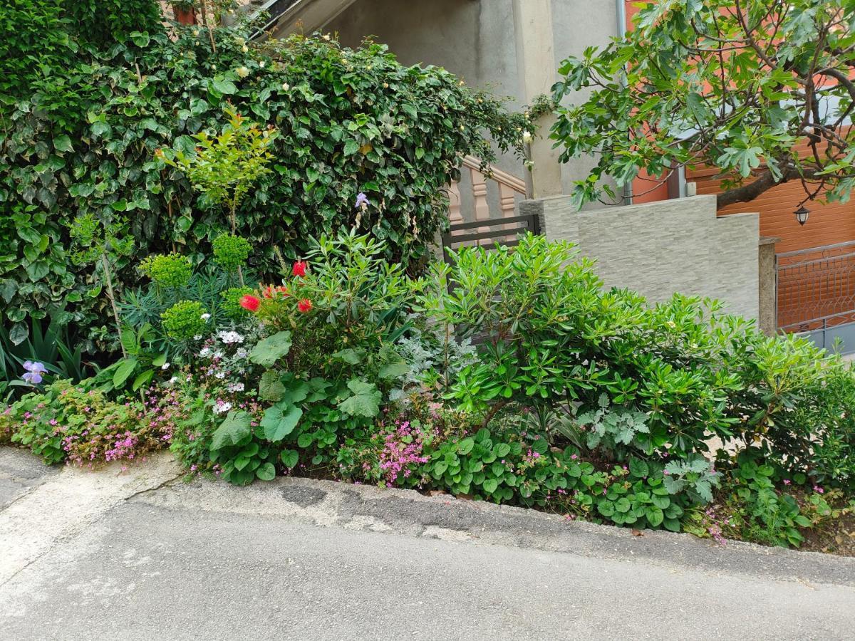 Studio Apartman Rea Kotor Ngoại thất bức ảnh