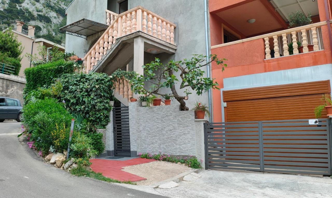 Studio Apartman Rea Kotor Ngoại thất bức ảnh